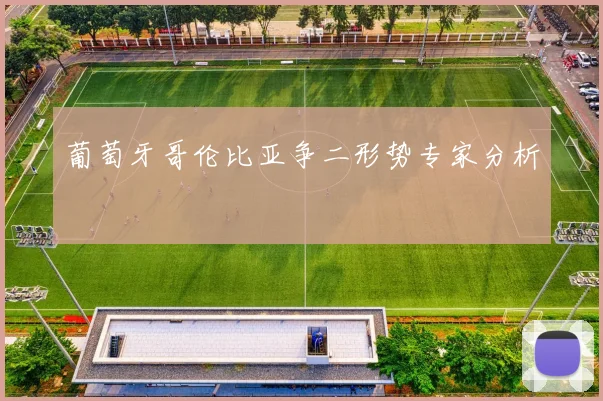 葡萄牙哥伦比亚争二形势专家分析