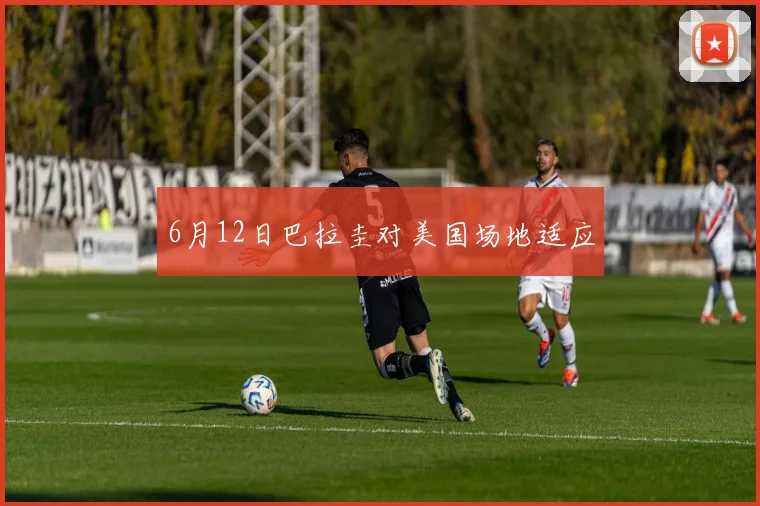 6月12日巴拉圭对美国场地适应