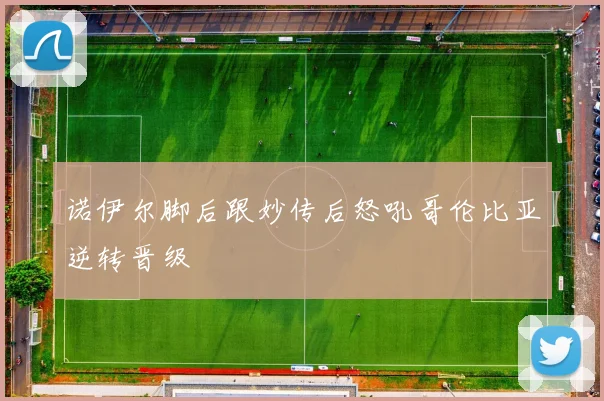 诺伊尔脚后跟妙传后怒吼哥伦比亚逆转晋级