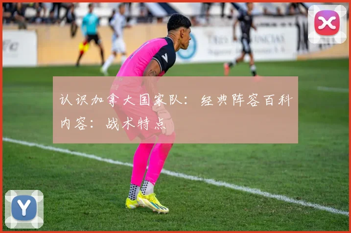 认识加拿大国家队：经典阵容百科内容：战术特点
