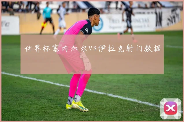 世界杯塞内加尔vs伊拉克射门数据