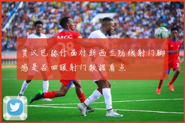 贾汉巴赫什面对新西兰防线射门脚感是否回暖射门数据看点
