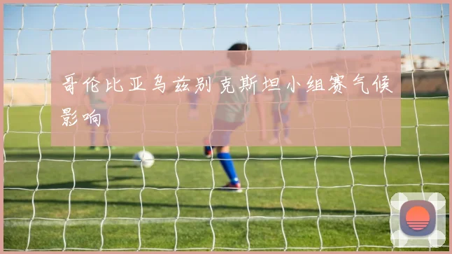 哥伦比亚乌兹别克斯坦小组赛气候影响