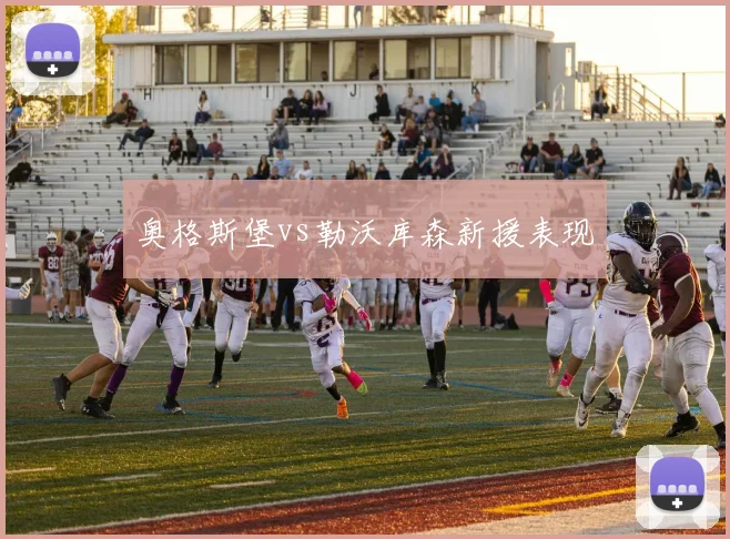 奥格斯堡vs勒沃库森新援表现