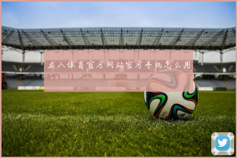 龙八体育官方网站官方手机怎么用
