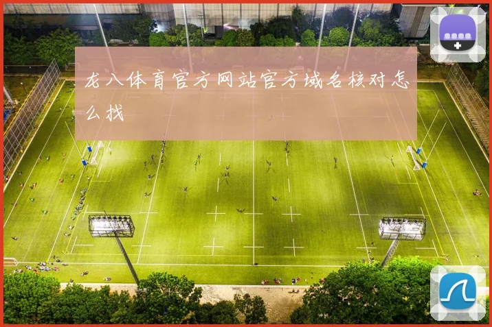 龙八体育官方网站官方域名核对怎么找